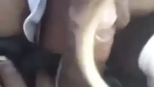 Gırtlağına kadar alma