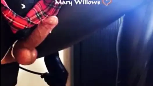 çift ​​korkaklık