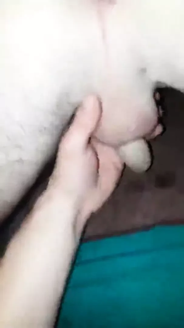 Magyar sracot seggbedugjak