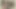 Tombul bikini güzelleri sanatı