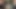 Ella'nın kıllı amcığı sevimli küçük izci eteğinin altından bakarken çok iyi görünüyor!