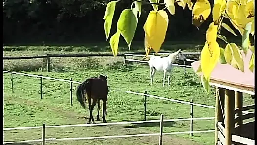 Kızgınlık dönemindeki bir fahişenin anal arzuları
