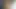 Kasha papillon ile fotoğraf çekimi