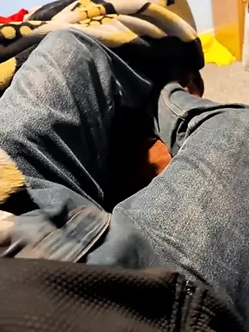 Canlı şovdan bir video