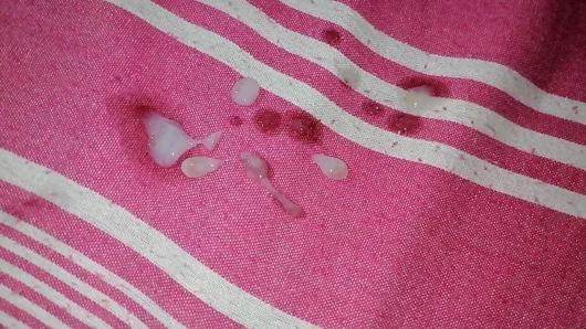 Hintli güzel kız büyük kıllı memeli amcık yalıyor sikişiyor