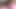 Pawg uyluk yükseklerinde sıkı kedi ile oynuyor