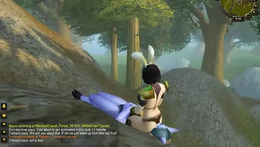 Yüze oturmalı kedi dövüşü - vay canına düello