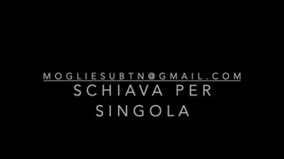 Cerchiamo singola