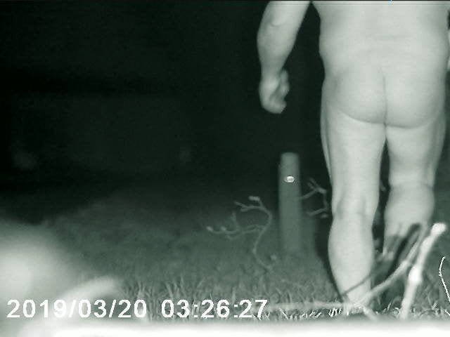 Sergi 1