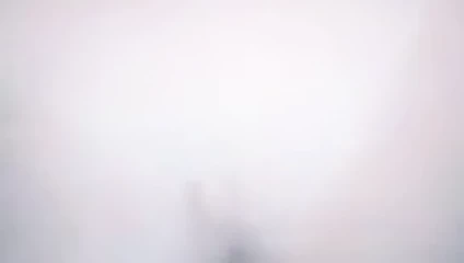 negao que nao tem do de cu 2