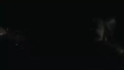 Sarah gadon - "kara ayı"