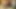 Genç zenci erkek delisi çikolata dev bacaklı delikanlı Mr. 18 Inch ile daha iyi tanımak için mutlu