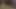 Lanet karısının kedi köpek stili pt.1