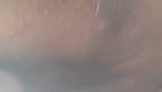 benim azgın amerikalı zoig arkadaşım haraç