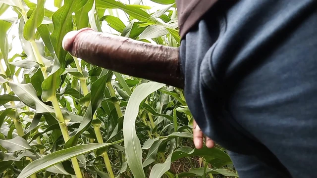 Makka ke khet me oil se malish apne lambe land ki