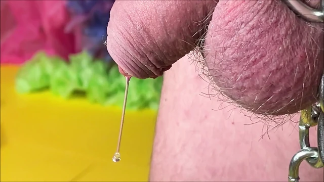 Paskalya Tavşanı Yumurtalarını Bırakıyor 1