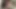 Transerotica dövmeli ts chelsea marie yarak emiyor