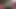 Pembe fileli orta yaşlı seksi kadın