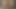 Karım bana başka bir harika yarak emiyor ve meme muamelesi yapıyor
