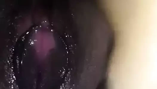 Hint kedi mastürbasyon