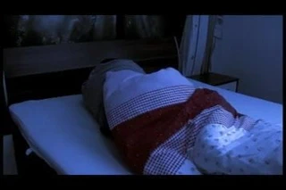 Die Bullen vom Fuschlsee