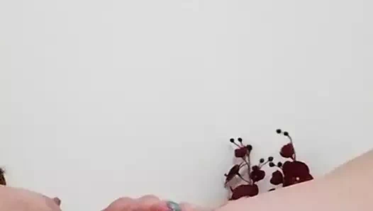 Evde yalnız - yemek ekleme 4 greyfurt