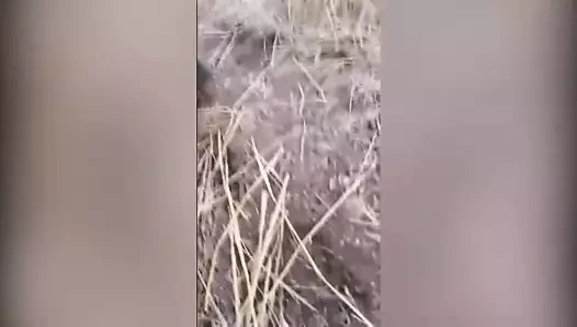 türbanlı
