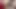 Seksi Asyalı kız büyük yarakları seviyor