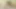 Seksi koyu kızıl saçlı Jessica Ryan tüm hayranlarının önünde canlı sikişmek için büyük bir yarağı seviyor