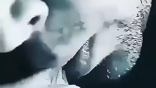 Chut ka pani  nikala