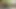 Yeni bisiklet çok paraya mal oluyor, bu yüzden esmer kedi deliniyor