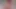 Tweetney büyük yapay penis anal esneme.