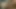 Anal fisting ve kahrolası üzerinde web kamerası