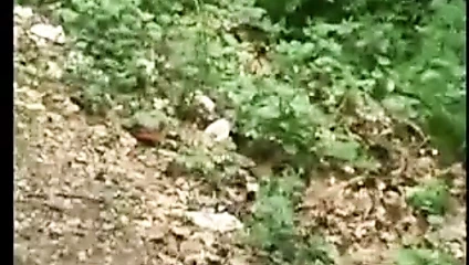 Jebacina na avali sırp-srpski tarafından krmanjonac