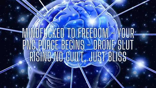 Özgürlük için akıldan sikiliyor - pnc temizlemen başlıyor - dron sürtük suçluluk duymuyor, sadece mutluluk