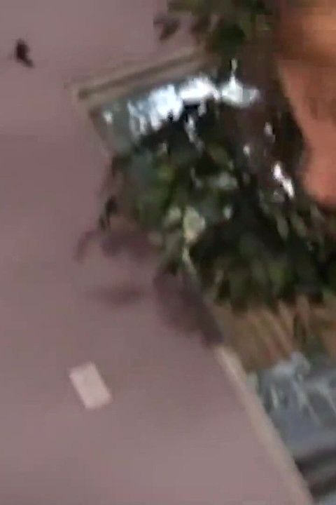 Üvey baba üvey kızlarının günlüğünü okurken yakalandı