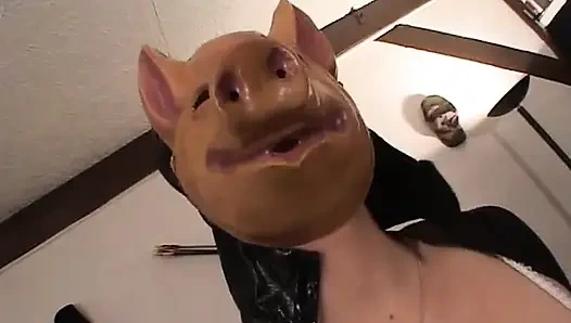 Öğretmeni domuzcukla sikiyor