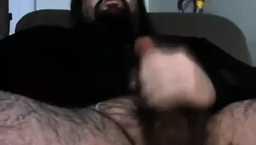büyük kıllı ayı