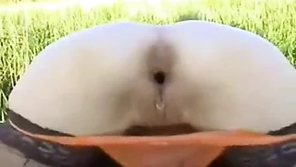 güzel sapık fransız açık havada anal