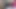 Amatör Hintli orta yaşlı seksi kadın otel odasında erkek arkadaşıyla canavar yarak seksinin tadını çıkarıyor