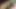 Step Father's Day. Stepdad fucks his stepdaughter,  and ends up cumming inside her when her cuckold mother is not at home