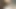 Pakistanlı Hint bengalcesi tiktok