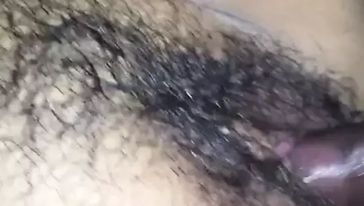 Şaşırtıcı filipinli kedi