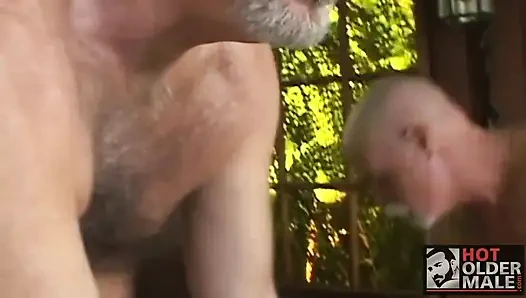 Cennette ayılar partisi