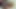 Jasmine Rouge yağmur altında anal sikişiyor