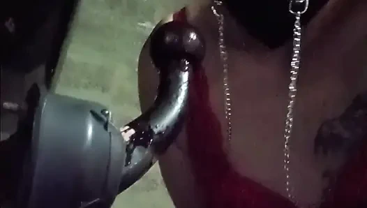 Büyük lope towbar ile eğleniyor