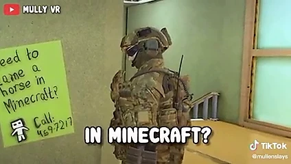 Minecraft evcilleştirme