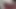 Sucking on my wife's delicious vagina