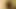 Zaneta'nın ilk pornosu teşhirci bir sokak fahişesi