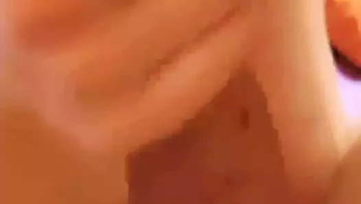 pajilla